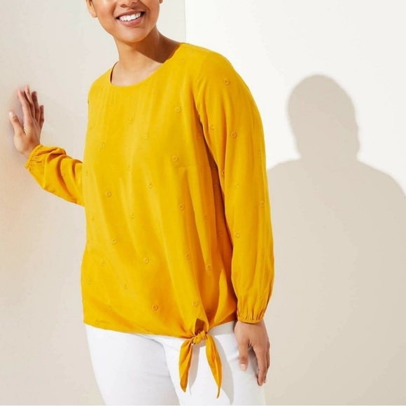 LOFT Plus Embroidered Dot Pullover Top - Picture 7 of 9